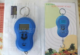 厂家供应优质手提电子称 多功能便携秤在日用百货中的新奇特应用